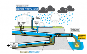 A plague of combined sewers | REB Research Blog